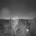 Webcam_20250118-070000