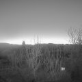 Webcam_20250118-073000