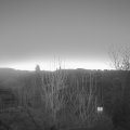 Webcam_20250119-073000
