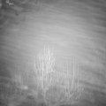 Webcam_20250120-053000
