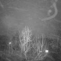 Webcam_20250120-073000
