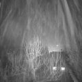 Webcam_20250120-190000