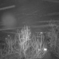 Webcam_20250120-194500