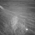 Webcam_20250120-204500