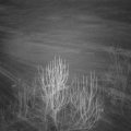 Webcam_20250120-220000