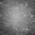 Webcam_20250121-174500