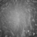 Webcam_20250121-180000