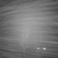 Webcam_20250121-181500