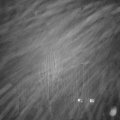 Webcam_20250121-183000