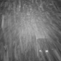 Webcam_20250121-184500