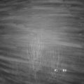 Webcam_20250121-200000
