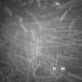 Webcam_20250121-201500