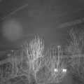Webcam_20250121-204500