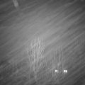 Webcam_20250121-211500