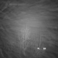 Webcam_20250121-220000
