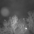 Webcam_20250122-053000