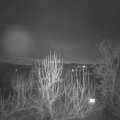 Webcam_20250122-070000
