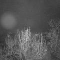 Webcam_20250123-060000