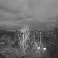 Webcam_20250123-173000