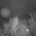 Webcam_20250124-061500