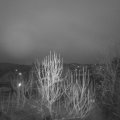 Webcam_20250124-073000
