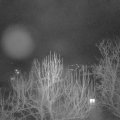 Webcam_20250124-220000