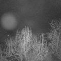 Webcam_20250125-063000