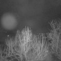 Webcam_20250125-070000