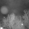 Webcam_20250126-054500