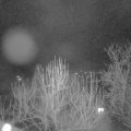 Webcam_20250126-060000