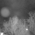 Webcam_20250126-061500