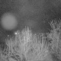 Webcam_20250126-063000