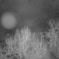 Webcam_20250126-064500