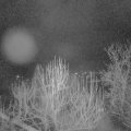 Webcam_20250126-070000