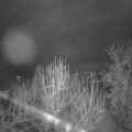 Webcam_20250126-071500