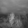 Webcam_20250126-073000