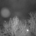 Webcam_20250127-050000
