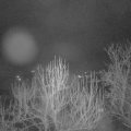 Webcam_20250127-054500