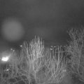 Webcam_20250127-071500