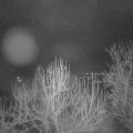 Webcam_20250128-051500