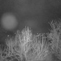 Webcam_20250128-070000