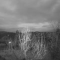 Webcam_20250128-073000