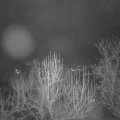 Webcam_20250129-054500