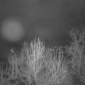 Webcam_20250129-060000