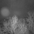Webcam_20250129-063000