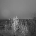Webcam_20250129-073000