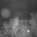 Webcam_20250129-193000
