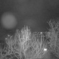 Webcam_20250130-201500
