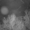 Webcam_20250131-053000