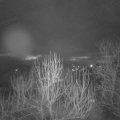 Webcam_20250131-070000